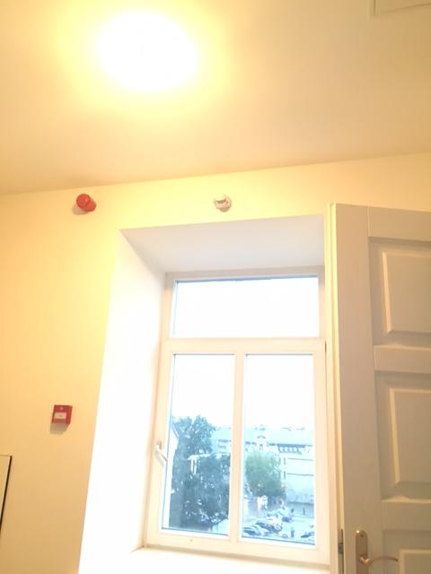Kamilė_Vilnius