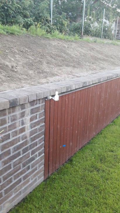 Lietaus davikliai padeda taupyti laistant veją.